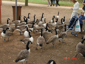 ���������� � ����� ���� ���������� 